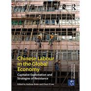 Chinese Labour in the Global Economy: Capitalist Exploitation and Strategies of Resistance by Bieler; Andreas, 9781138726604