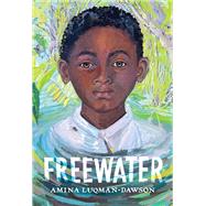Freewater by Luqman-Dawson, Amina, 9780316056618