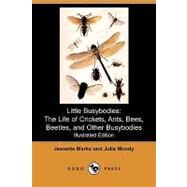 Little Busybodies : The Life of Crickets, Ants, Bees, Beetles, and Other Busybodies by Marks, Jeannette Augustus; Moody, Julia, 9781409966654