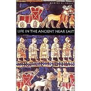 Life in the Ancient Near East, 3100-332 B.C.E. by Daniel C. Snell, 9780300076660
