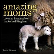 Amazing Moms Love and Lessons From the Animal Kingdom by Buchholz, Rachel, 9781426216671