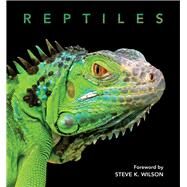 Reptiles by Wilson, Steve, 9781925546675