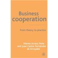 Business Cooperation : From Theory to Practice by Arranz Nieves Pea and Juan Carlos Fernndez de Arroyabe, 9780333986691