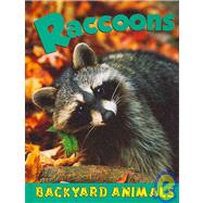 Raccoons by Hurtig, Jennifer, 9781590366691