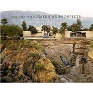 American Prospects by Sternfeld, Joel; Brougher, Kerry; Grundberg, Andy; Tucker, Anne W., 9783958296695
