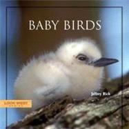 Baby Birds by Rich, Jeffrey, 9781887896702