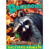 Raccoons by Hurtig, Jennifer, 9781590366707