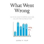 What Went Wrong How the 1% Hijacked the American Middle Class . . . and What Other Countries Got Right by Tyler, George R., 9781937856717