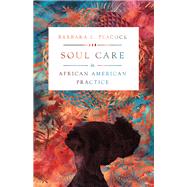 Soul Care in African American...,Peacock, Barbara L.,9780830846719