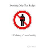 Something Other Than Straight by Matthews, Steven, 9781505666731