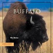 Buffalo by Blevins, Win, 9781887896733
