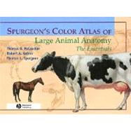 Spurgeon's Color Atlas of Large Animal Anatomy: The Essentials by McCracken, Thomas O.; Kainer, Robert A.; Spurgeon, Thomas L., 9780683306736