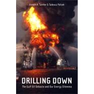 Drilling Down by Tainter, Joseph A.; Patzek, Tadeusz W., 9781441976765
