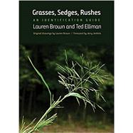 Grasses, Sedges, Rushes by Brown, Lauren; Elliman, Ted; Jenkins, Jerry, 9780300236774