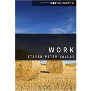 Work A Critique by Vallas, Steven, 9780745646794