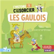L'histoire C'est pas sorcier - Les Gaulois by Pierre Oertel, 9782017866817