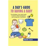 A Dad's Guide to Having a Baby by Bliss, Dominic, 9781911026822