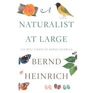 A Naturalist at Large by Heinrich, Bernd, 9780544986831