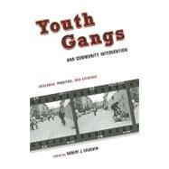 Youth Gangs and Community Intervention by Chaskin, Robert J., 9780231146852