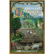 A Brief History of Life in the Middle Ages by Martyn Whittock, 9781845296858