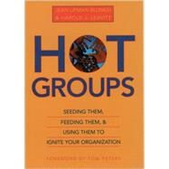 Hot Groups Seeding Them, Feeding Them, and Using Them to Ignite Your Organization by Lipman-Blumen, Jean; Leavitt, Harold J., 9780195126860