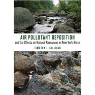 Air Pollutant Deposition and Its Effects on Natural Resources in New York State by Sullivan, Timothy J., 9780801456879