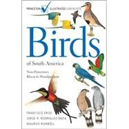Birds of South America by Rodriguez Mata, Jorge R., 9780691126883