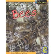 A Colony of Bees by Spilsbury, Richard, 9781403446886