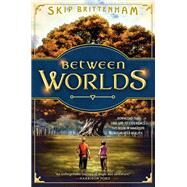 Between Worlds by Brittenham, Skip; Anacleto, Jay; Haberlin, Brian; Sirois, Doug, 9780399176890