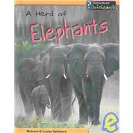 A Herd of Elephants by Spilsbury, Richard, 9781403446893