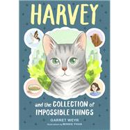 Harvey and the Collection of Impossible Things by Weyr, Garret; Phan, Minnie, 9781797206905