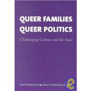 Queer Families, Queer Politics: Challenging Culture and the State by Bernstein, Mary, 9780231116916