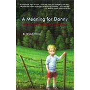 A Meaning for Danny by Marlin, Brigid; Scott, Greg (CON), 9780741466921