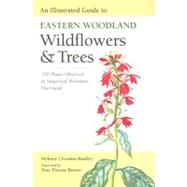 An Illustrated Guide to Eastern Woodland Wildflowers and Trees by Choukas-Bradley, Melanie, 9780813926926