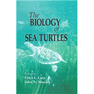 The Biology of Sea Turtles, Volume I by Peter L. Lutz, 9780429606939