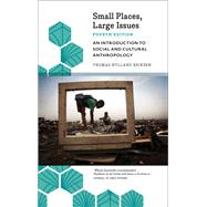 Small Places, Large Issues by Eriksen, Thomas Hylland, 9780745336954