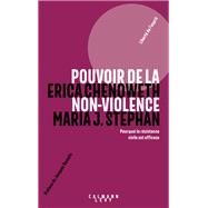 Pouvoir de la non-violence by Erica Chenoweth; Maria J. Stephan, 9782702166956