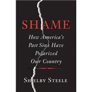 Shame How America's Past Sins Have Polarized Our Country by Steele, Shelby, 9780465066971
