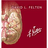 Netter. Flashcards de neurociencia by David L. Felten, 9788491136989
