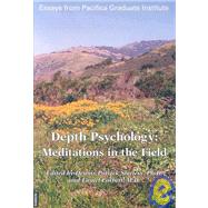 Depth Psychology : Meditations in the Field by Slattery, Dennis Patrick, 9783856307011