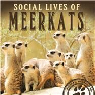Social Lives of Meerkats by Wilson, Rachel M., 9781681917016