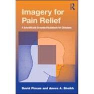 Imagery for Pain Relief: A Scientifically Grounded Guidebook for Clinicians by Pincus; David, 9780415997027
