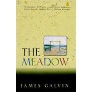 The Meadow by Galvin, James, 9780805027037