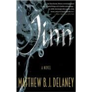 Jinn A Novel by Delaney, Matthew B.J., 9780312327057