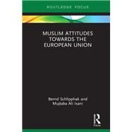 Muslim Attitudes Towards the European Union by Schlipphak; Bernd, 9781138607057