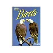Florida's Fabulous Birds : Landbirds by Williams, Winston, 9780911977066