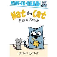 Nat the Cat Has a Snack Ready-to-Read Pre-Level 1 by Lerner, Jarrett; Lerner, Jarrett, 9781665957083