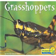 Grasshoppers by Miller, Connie Colwell, 9780736837088