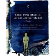 Social Perspectives in Lesbian and Gay Studies: A Reader by Schneider,Beth E., 9780415167093
