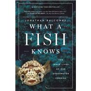 What a Fish Knows by Balcombe, Jonathan, 9780374537098